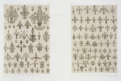 Disegni di gigli da ogni epoca e da tutto il mondo, da 